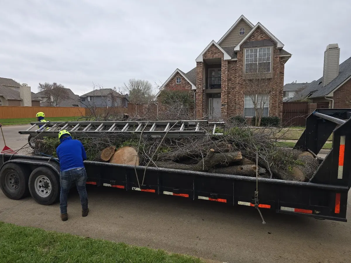 Expert Lot Clearing with proper safety equipment in Manchaca